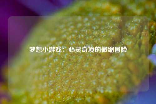 梦想小游戏:心灵奇境的微缩冒险