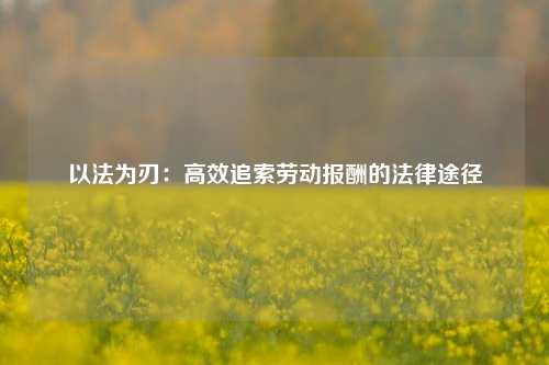 以法为刃：高效追索劳动报酬的法律途径